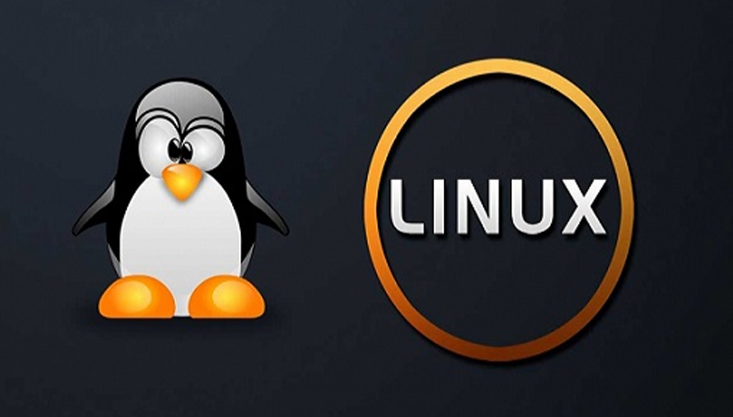 Học Linux trong vòng 5 Ngày